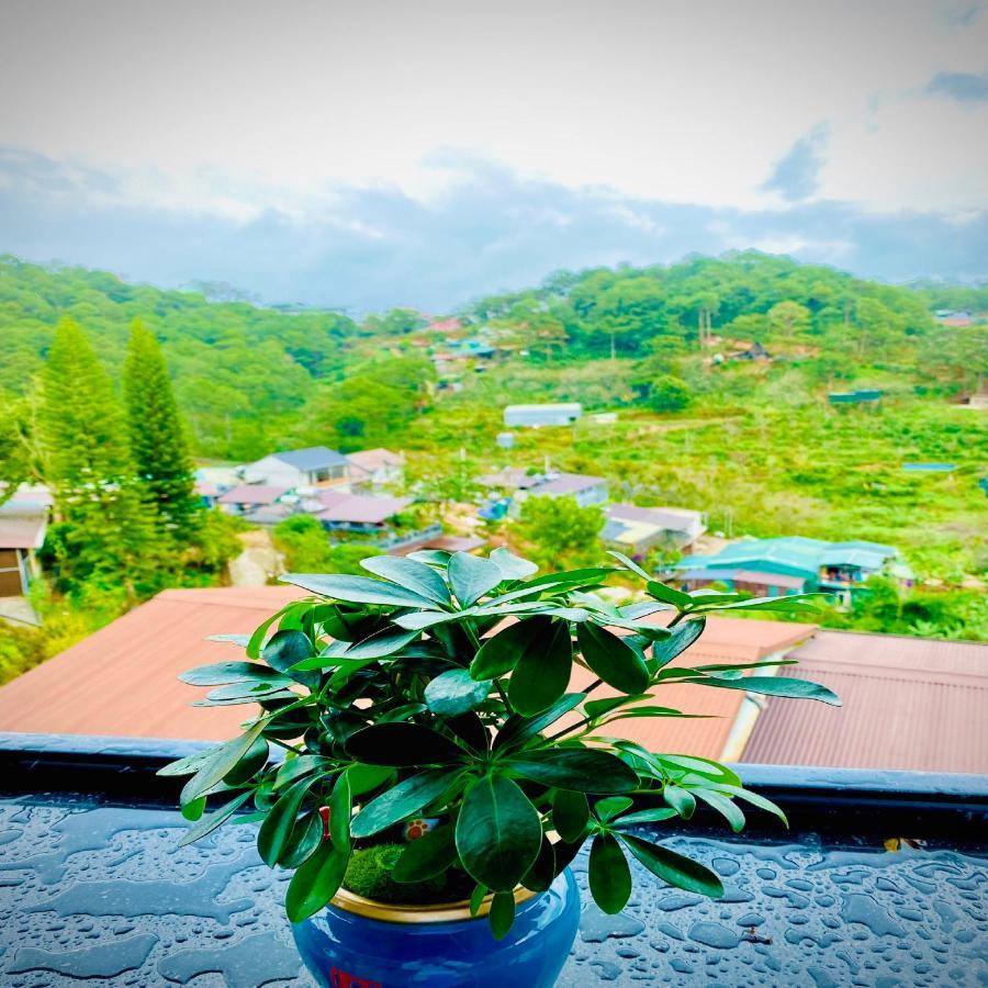 Pine Forest House Dalat Εξωτερικό φωτογραφία
